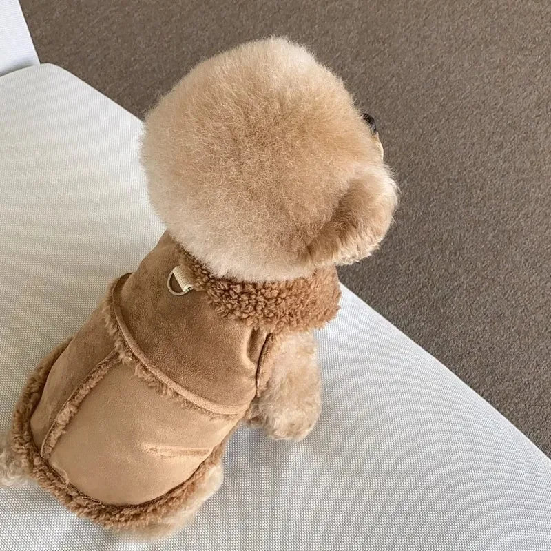 Cozy Pet Sweatshirt β Warm Winter Apparel for Small Dogs & Cats