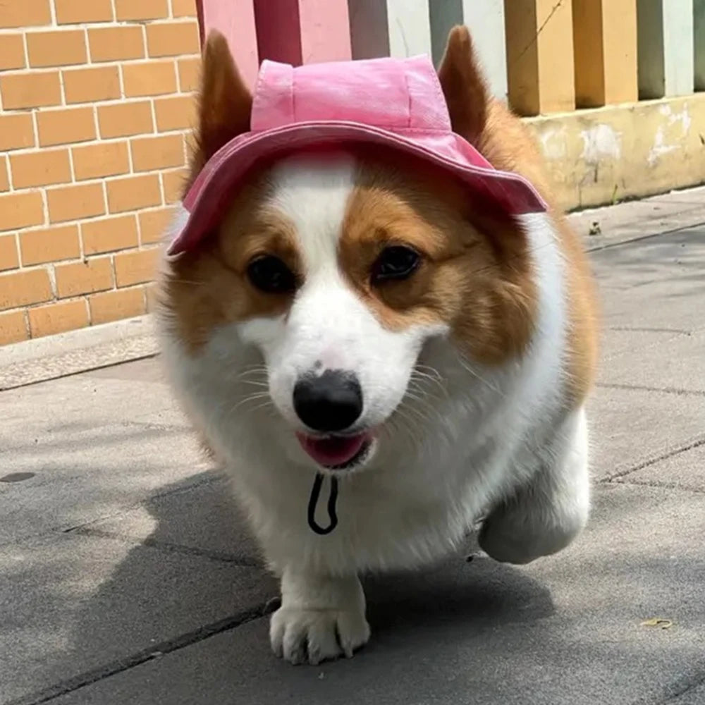 Cute French Bulldog Hat – Adjustable Polyester Pet Cap for Small & Medium Dogs