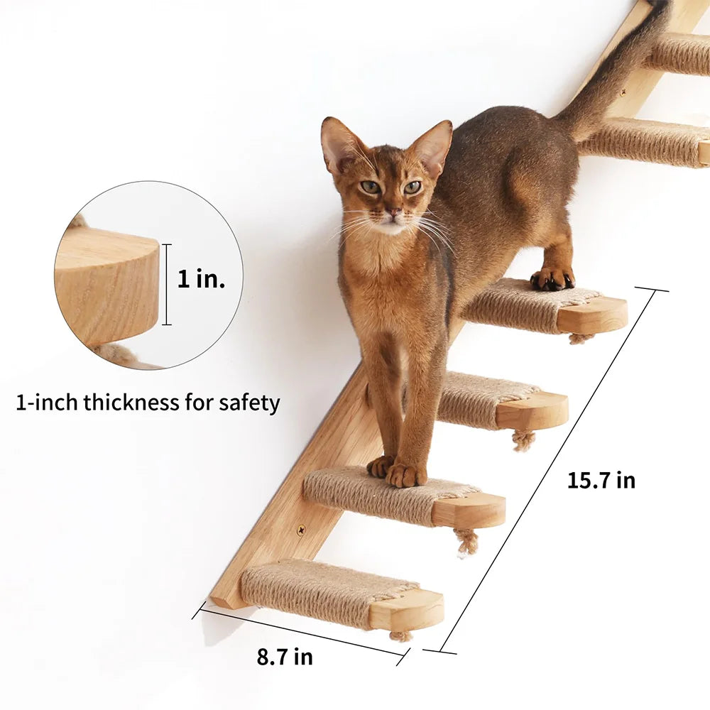 Wall-Mounted Cat Tree & Hammock – Space-Saving, Durable & Cozy!