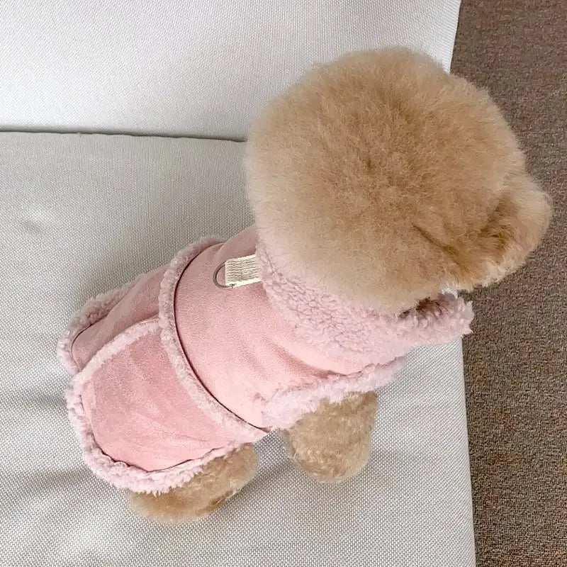Cozy Pet Sweatshirt β Warm Winter Apparel for Small Dogs & Cats