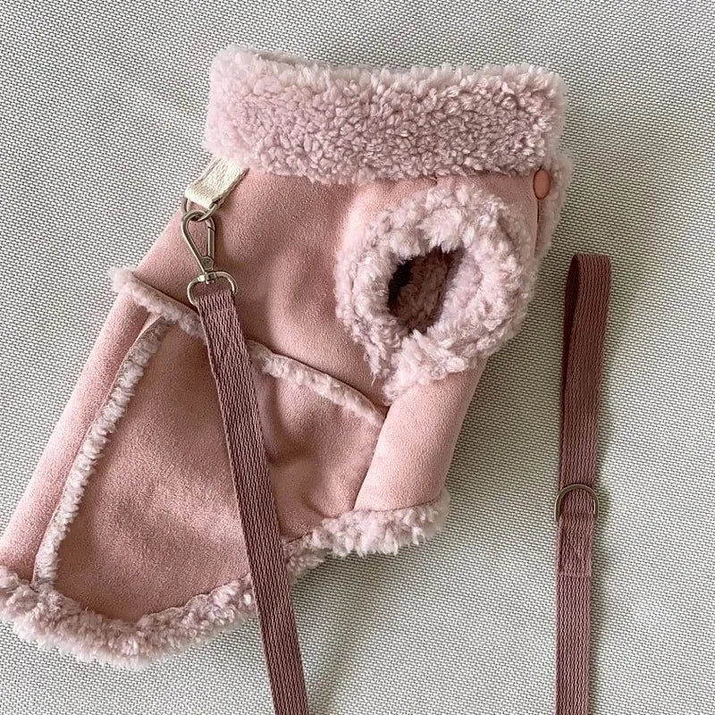 Cozy Pet Sweatshirt β Warm Winter Apparel for Small Dogs & Cats