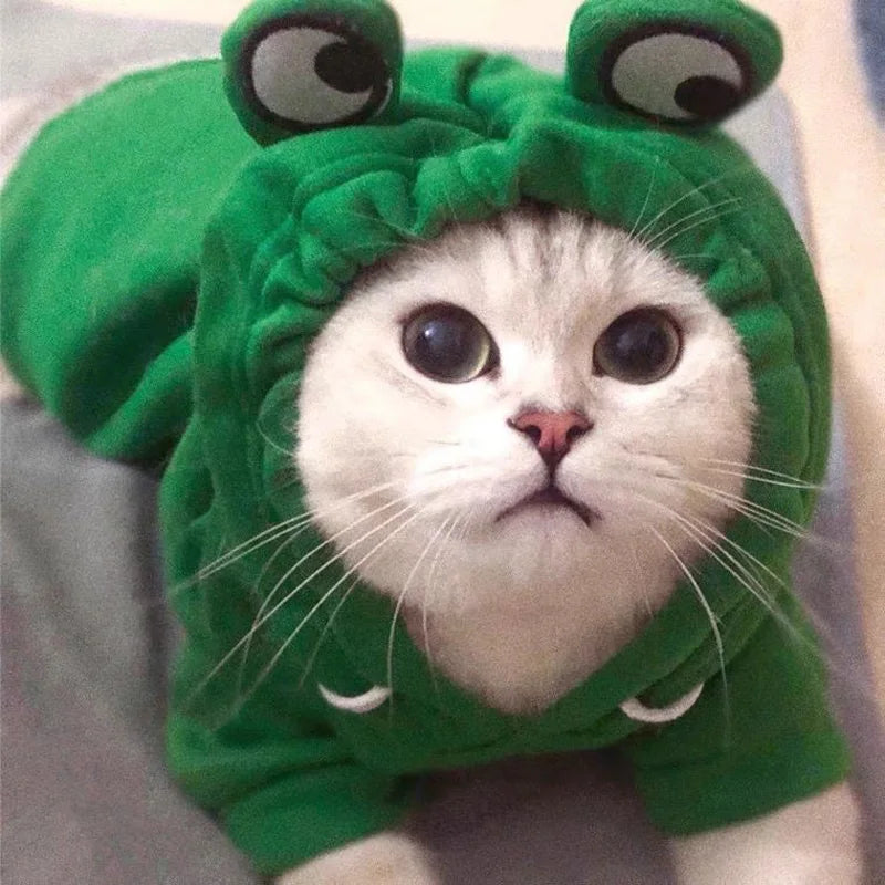 Cute Frog Pet Hoodie – Cozy Plush Cat & Dog Sweatshirt