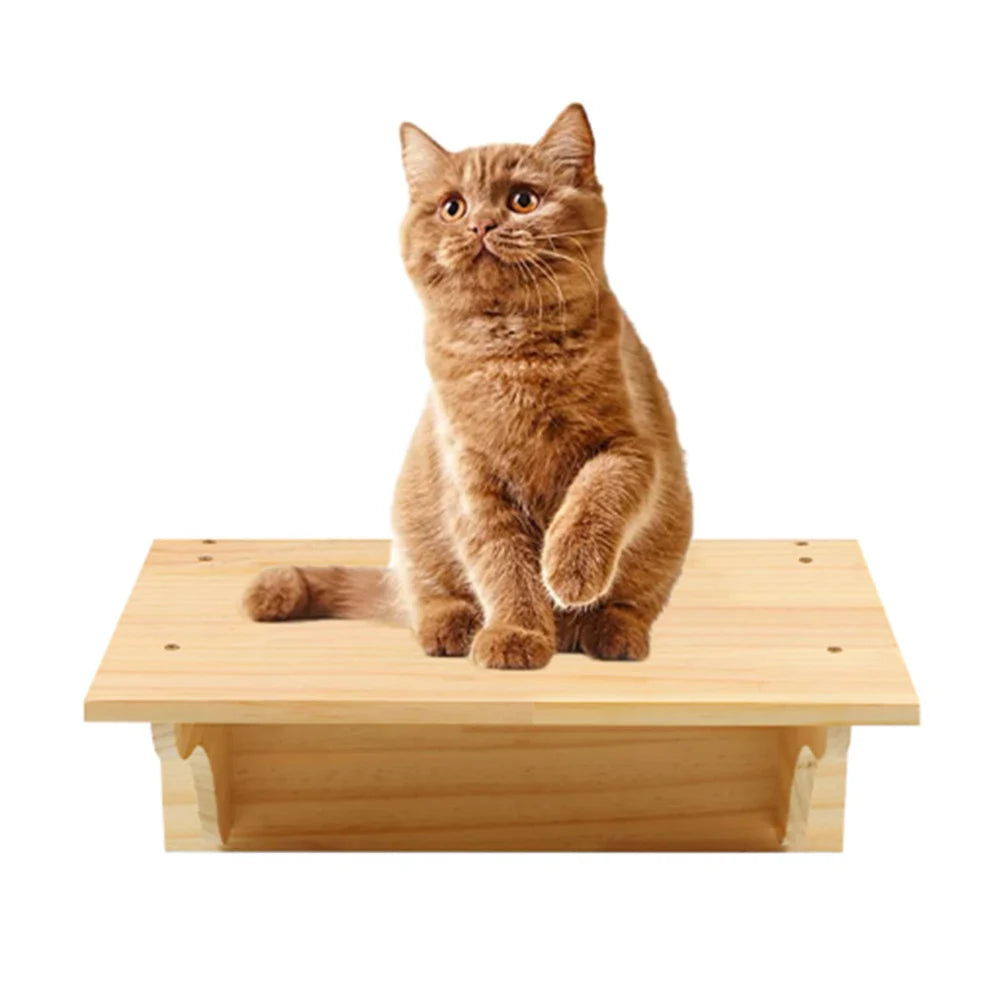 Wall-Mounted Cat Tree & Hammock – Space-Saving, Durable & Cozy!