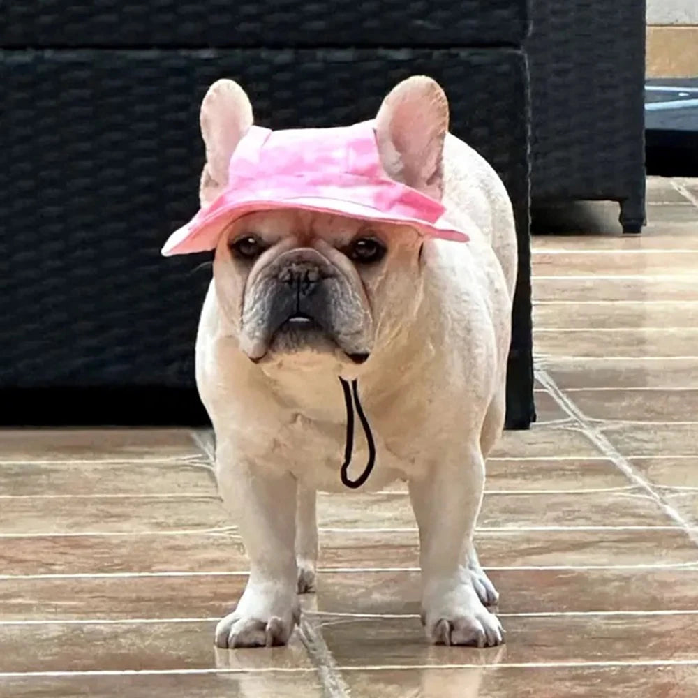 Cute French Bulldog Hat – Adjustable Polyester Pet Cap for Small & Medium Dogs